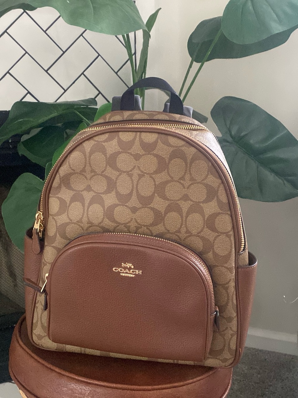 Coach Court Backpack in Signature Canvas and refined pebble leather.